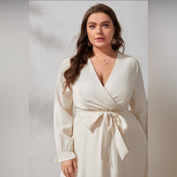 NWOT Plus Surplice Front Belted Dress - Picture 3 of 4